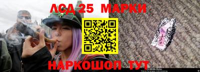 спайс Берёзовский