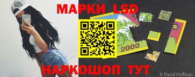 спайс Берёзовский