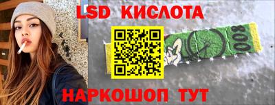 спайс Берёзовский