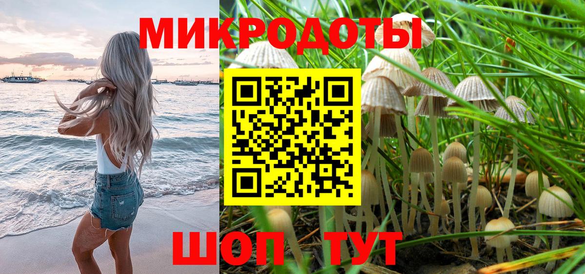 Калининград  Галлюциногенные грибы мухоморы  Вход с VPN 