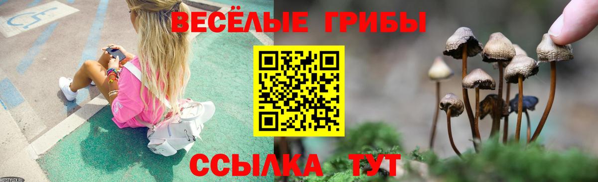 Псилоцибиновые грибы прущие грибы Калининград
